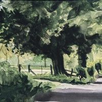 Trees on Havernook Lane